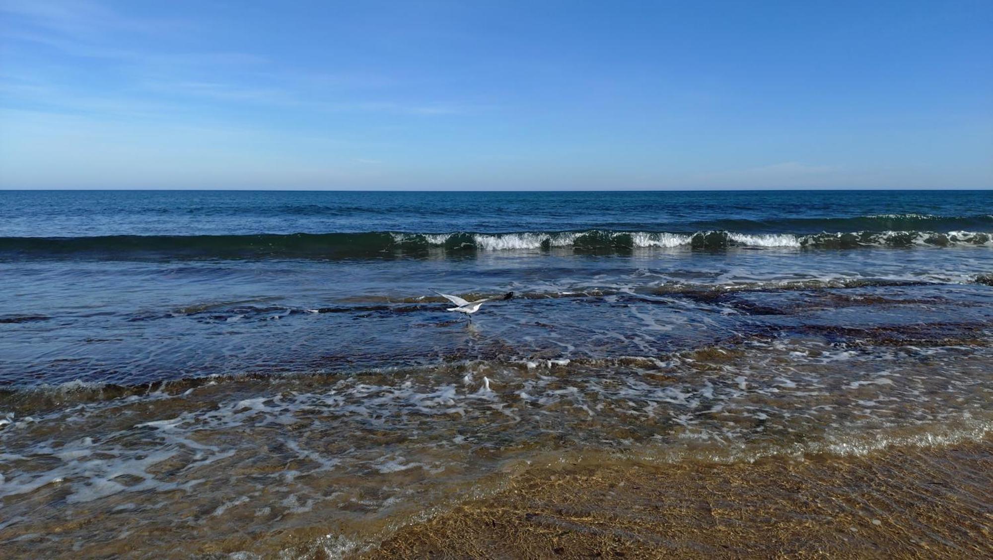 Parquemar La Mata La Mata (Torrevieja)